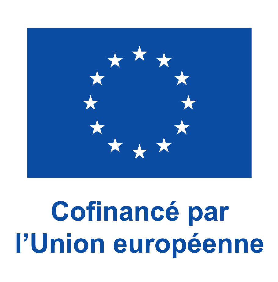 FR-V-Cofinancé-par-lUnion-européenne_PANTONE