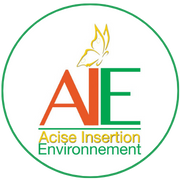 acise_insertion_environnement